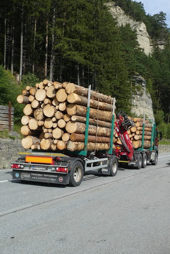 transport, transportation, trees, nature, logistics, truck, traffic, cargo